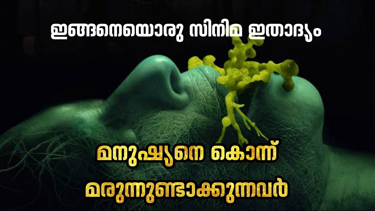 The Privilege 2022/മനുഷ്യനെ കൊന്ന് സൂക്ഷിച്ചു മരുന്നുണ്ടാക്കുന്നവർ/കിളി പറത്തുന്ന ഹൊറർ ത്രില്ലർ മൂവി