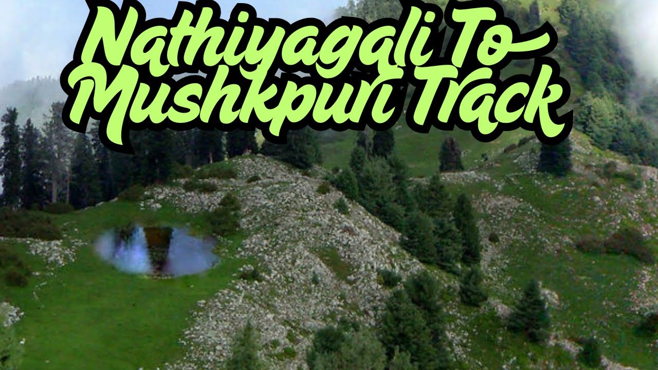 Mushkpuri Top | Dongagali To Mushkpuri Track | Nathiya Gali Tour |Mushkpuri Top 2026 | Murree Trip