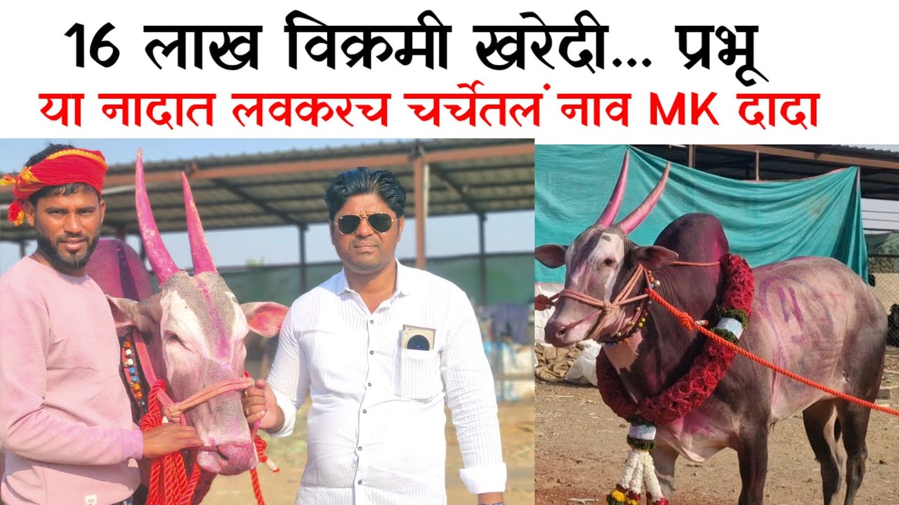 16 लाख ला खरेदी केला प्रभू