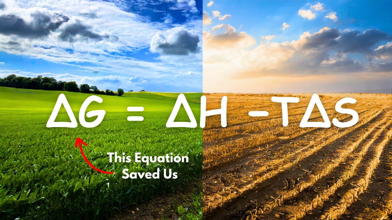 Gibbs Energy⚡️ Simple Explanation in Tamil | Padipucast