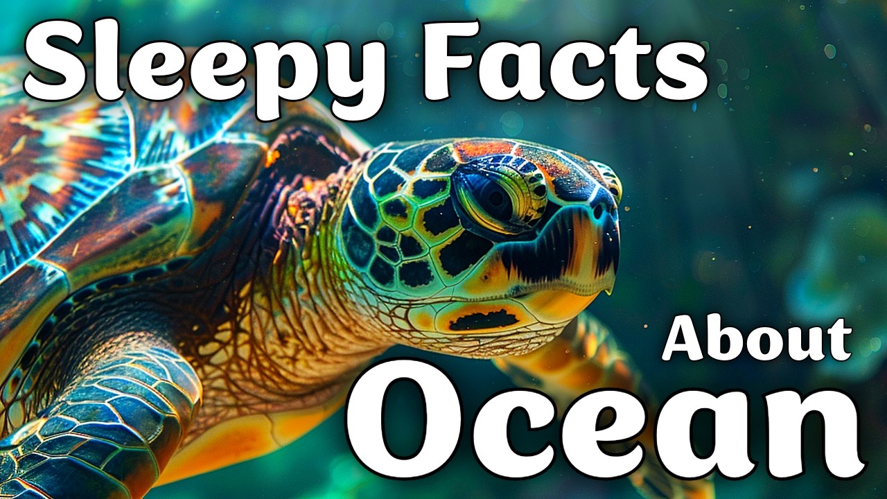 The Most Relaxing Ocean Facts to Fall Asleep To