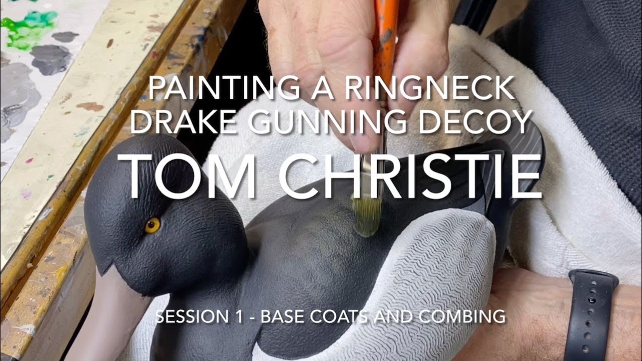 Ringneck Drake Painting Session 1 - Base Coats & Combing
