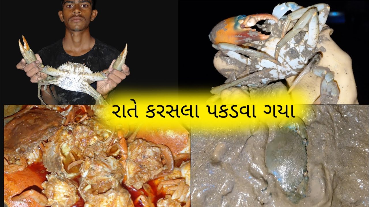 રાતે કરસલા પકડવા ગયા 🦀
