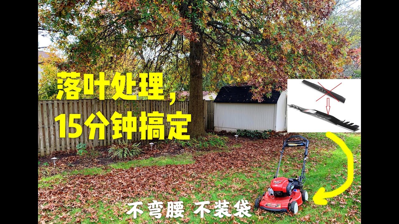 北美落叶打扫 15分钟搞定 不需弯腰不需装袋 Fast and easy leaf cleanup with Gator Mulching Blade