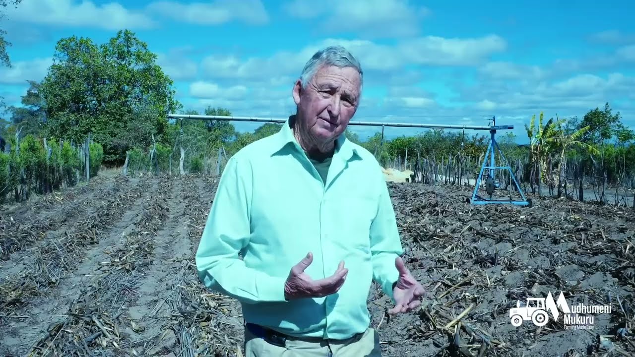 Farmers Speak| Pfumvunza| Intwasa Tips for Boosting Household Food Security