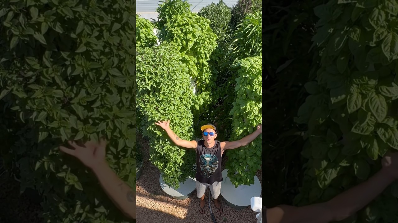 The future of farming is here! #farming #shorts #agriculture #gardening