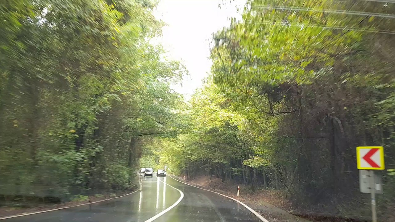 Bahçeköy Orman Yolu