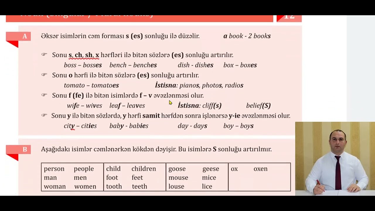 Unit 12 (Singular / Plural nouns)