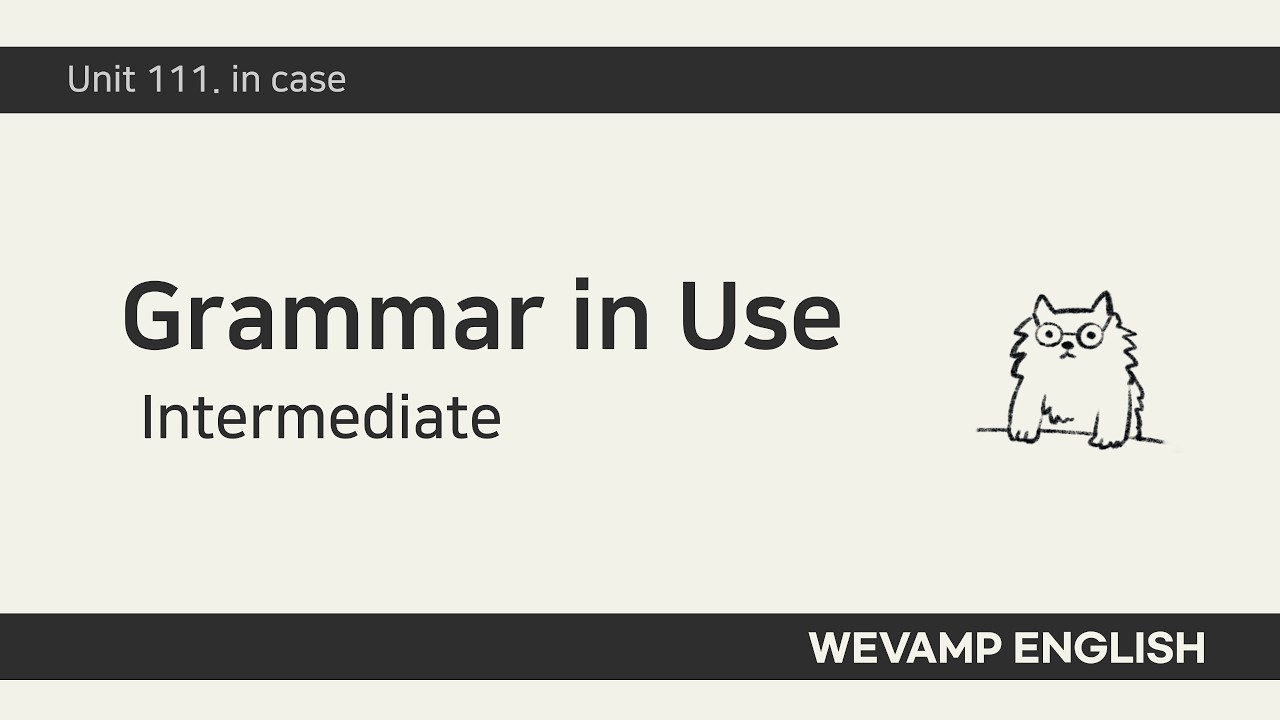[WEVAMP GIU] Grammar In Use 그래머인유즈 클립 96 - Unit 111. in case