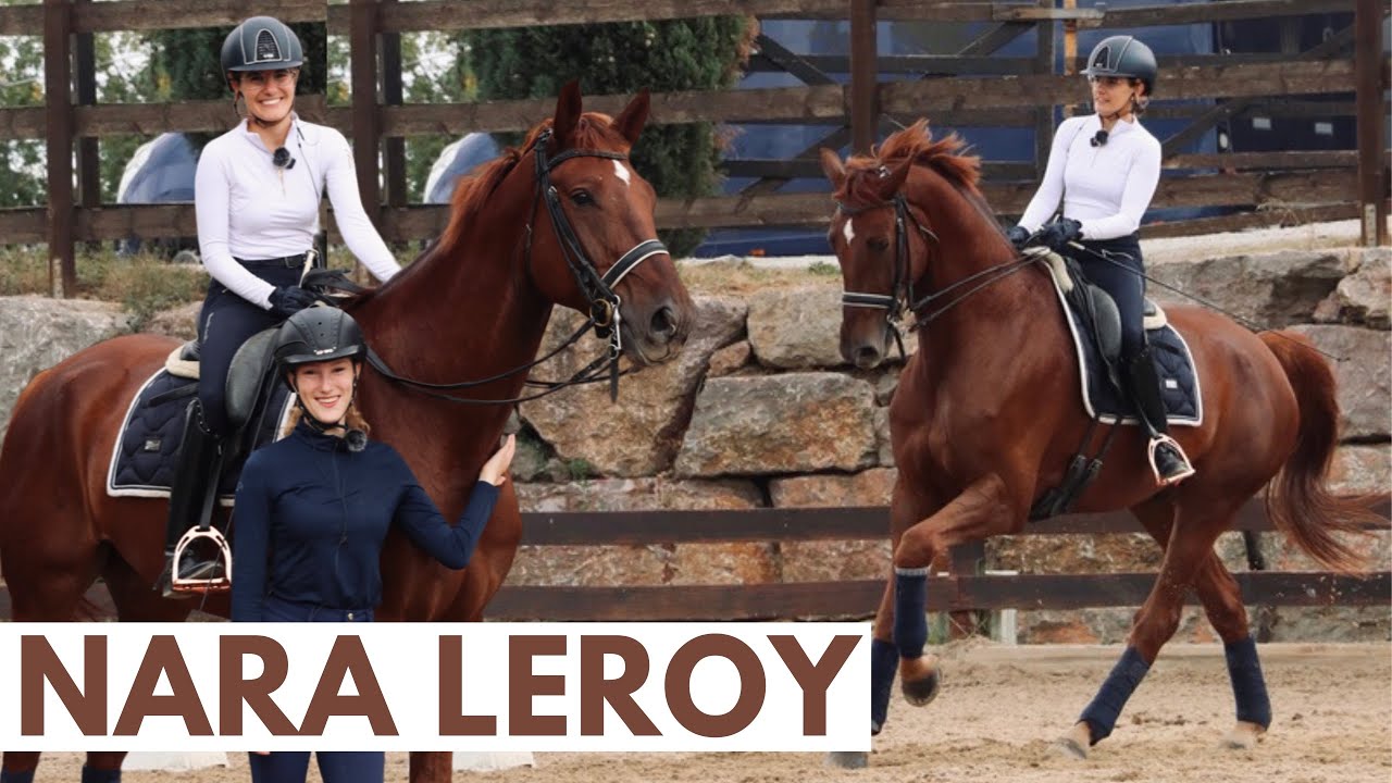 INTERCAMBIO caballos! 🐴 Montando a Leroy🦊el caballo de Nara Dressage 🤎⚠️