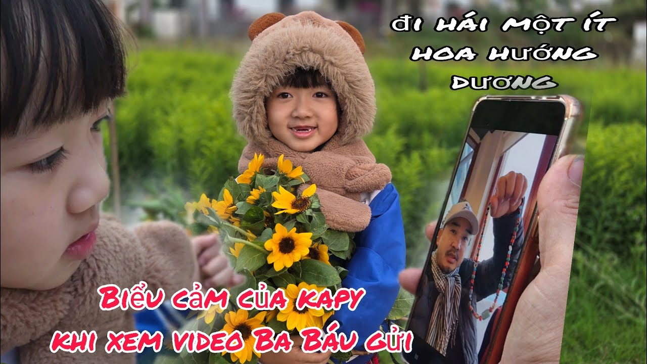 CẢM XÚC KAPY  KHI NGHE BA BÁU TẶNG QUÀ/ĐI HÁI ỚT VÀ HOA HƯỚNG DƯƠNG 