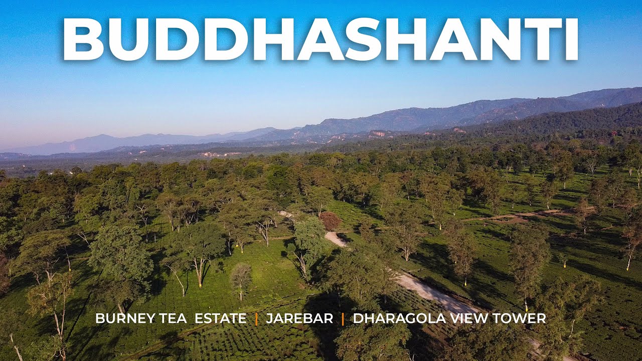 Buddhashanti, Jhapa | Burney Tea, Jarebar, Dharagola View Tower | Sulav Yatra