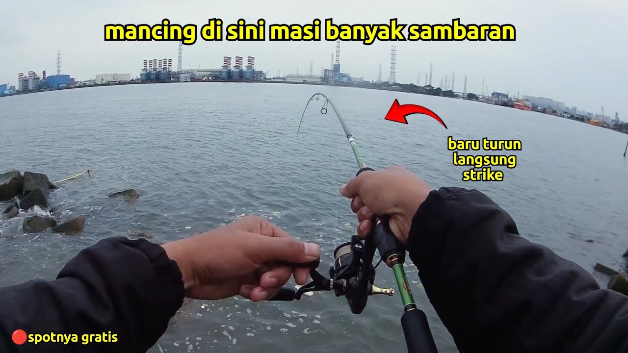 Buset baru turun aja langsung di sambar‼️ mancing di spot Ancol terbaru, Gratis #ancol 