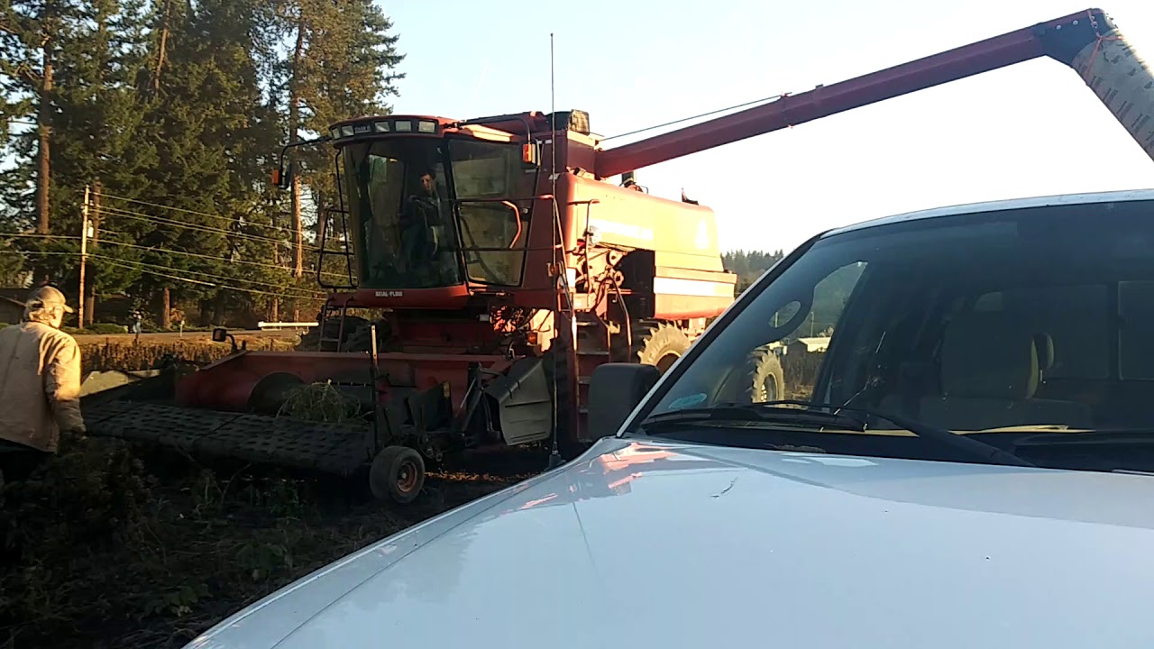 Combining some hemp