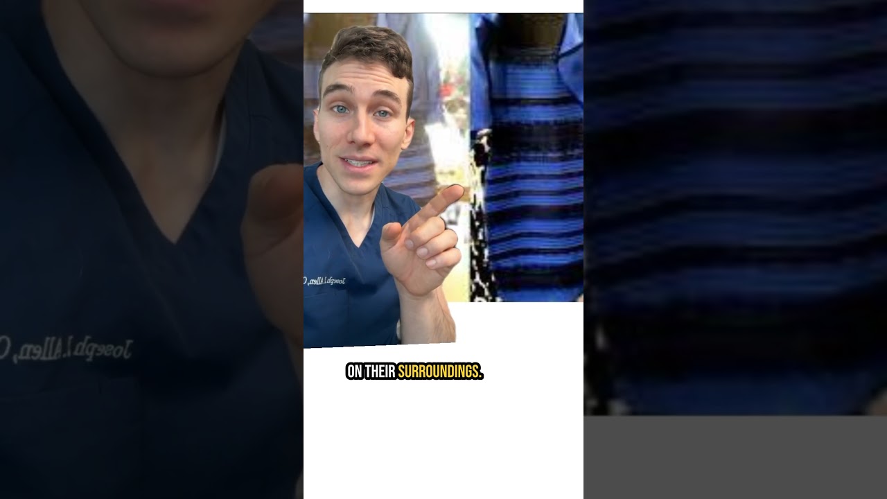 What Color is The DRESS? Optical Illusion Explained