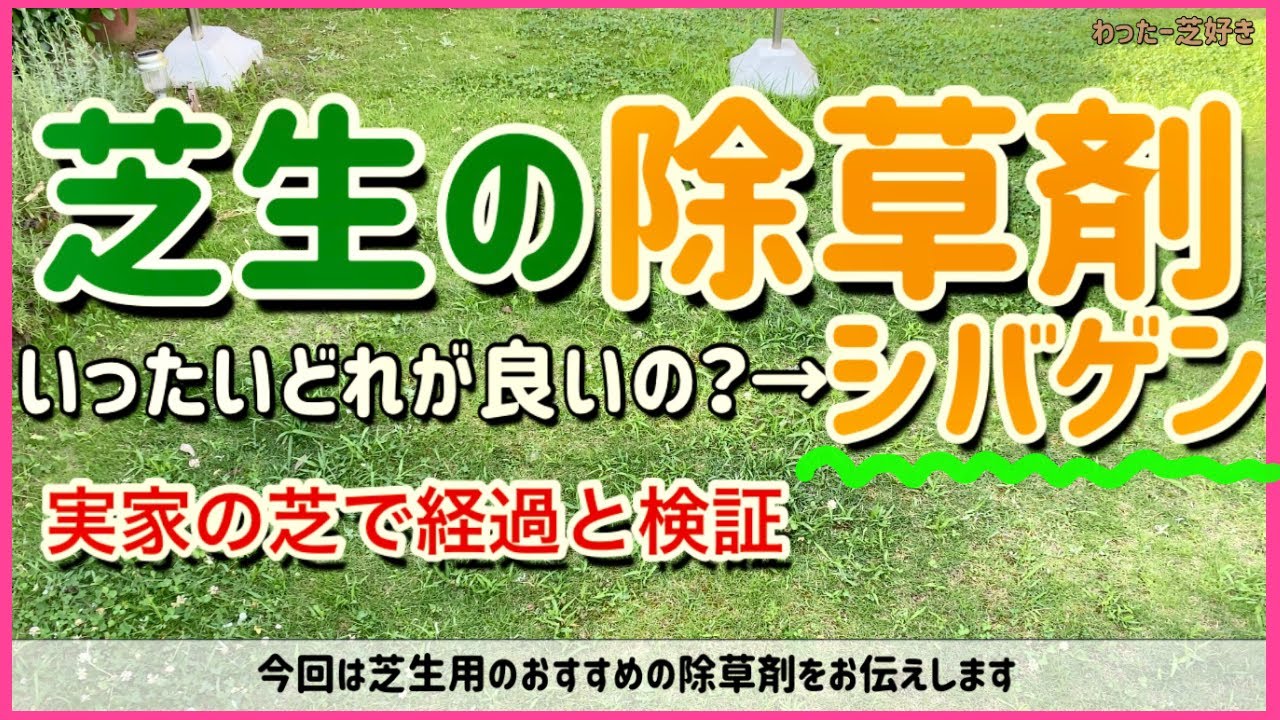 凄い芝生用除草剤シバゲン！メリット・ビフォーアフター！使い方！【芝生、TM 9、庭】