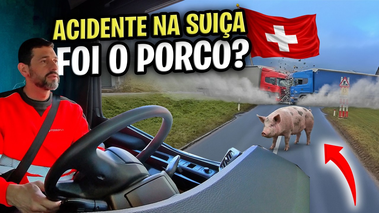 Porco na A1 na Suíça: trânsito travado até Genebra 🐷🚧🇨🇭