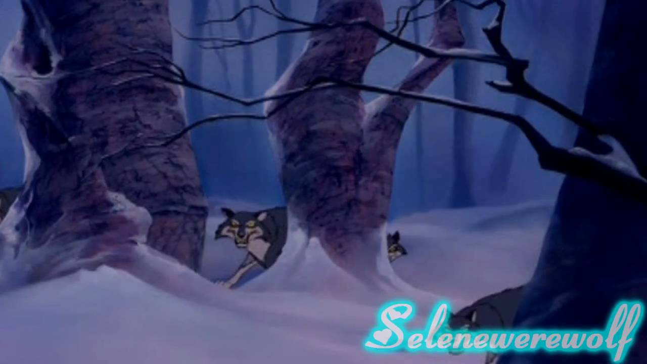 Belle x Kiba Preview