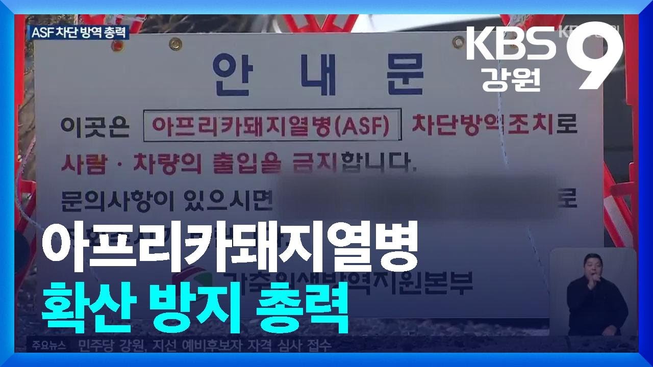 아프리카돼지열병 추가 발생 촉각…확산 방지 총력 / KBS  2026.01.19.