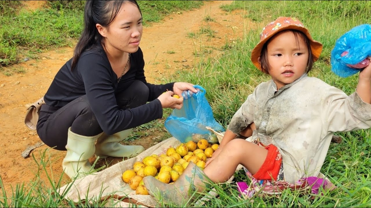 little light fruit to sell to buy food.( Little bé ánh)