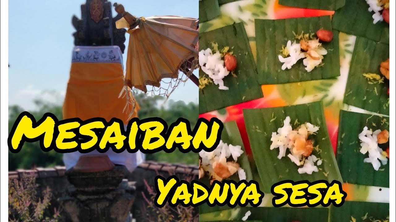 Mesaiban/ngejot |yadnya sesa|salah satu tradisi Hindu di Bali| 5 tempat utama mesaiban |