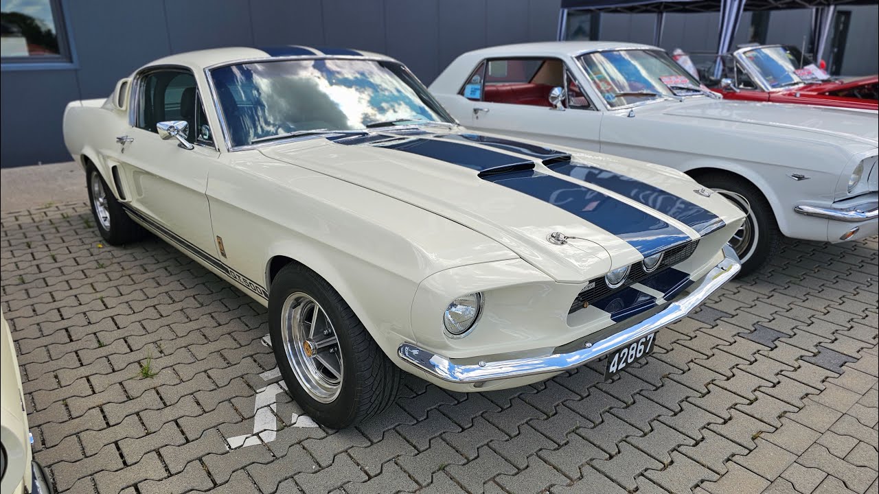 Wild Ponys of Hanau – Carshow 2024