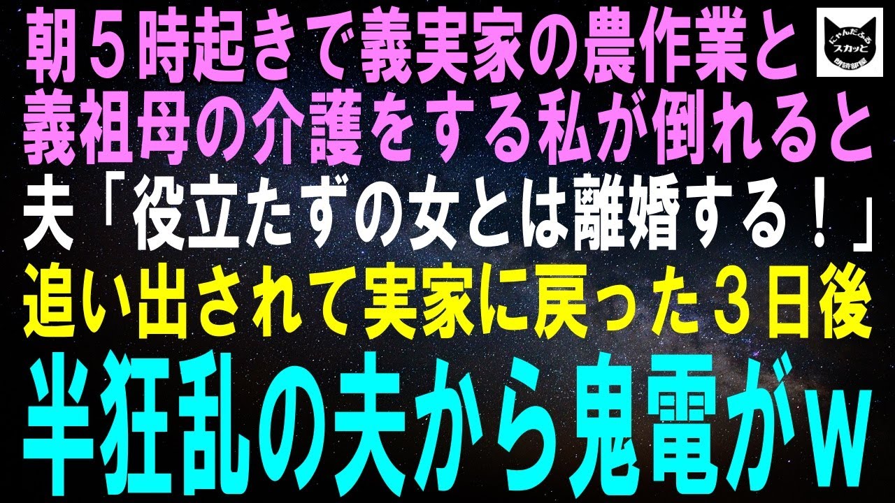 【スカッとする話】朝5時起きで義実家の農作業と義祖母の介護をする私が倒れると夫「役立たずの女とは離婚する！」追い出されて実家に戻った3日後、半狂乱の夫から鬼電がｗ【修羅場】