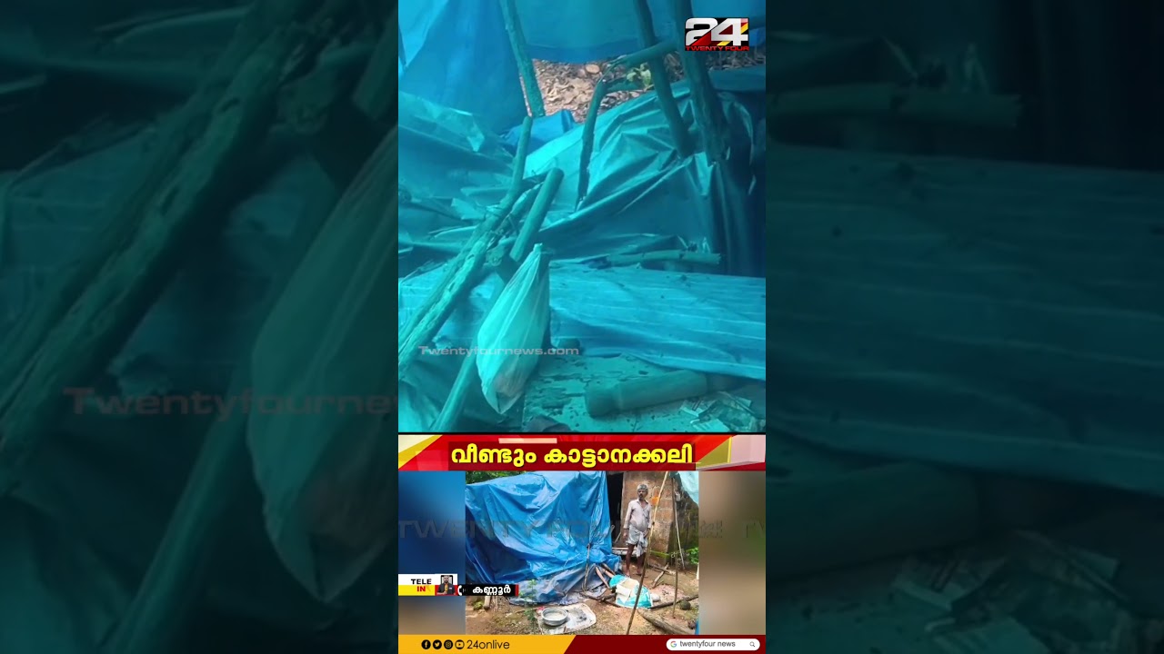 കണ്ണൂർ ആറളം ഫാമിൽ വീണ്ടും കാട്ടാന ആക്രമണം; വീടിന് സമീപത്തെ ഷെഡ്ഡും കൃഷിയും നശിപ്പിച്ചു | Kannur