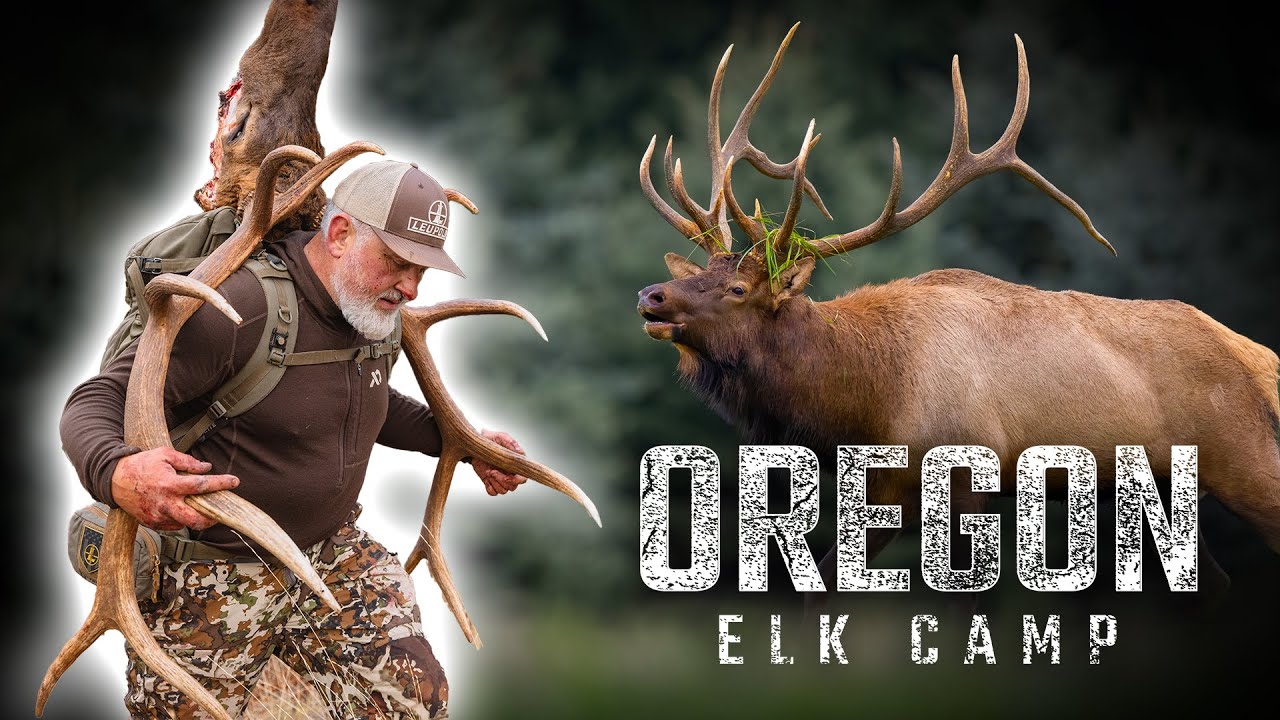 4K | Mt Emily | Oregon Elk | THEBUGLER
