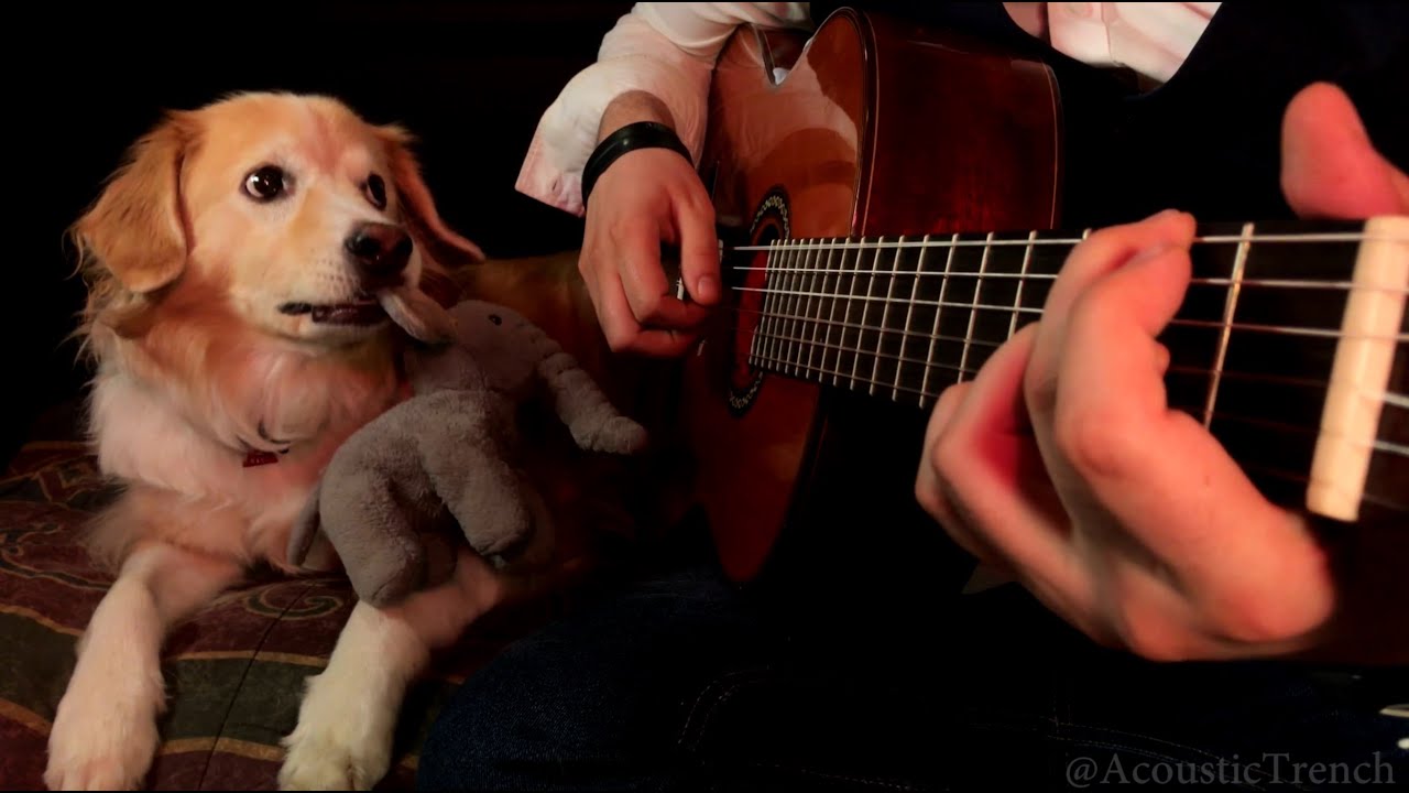 Wake Me Up When September Ends by Green Day (Solo Guitar Cover)