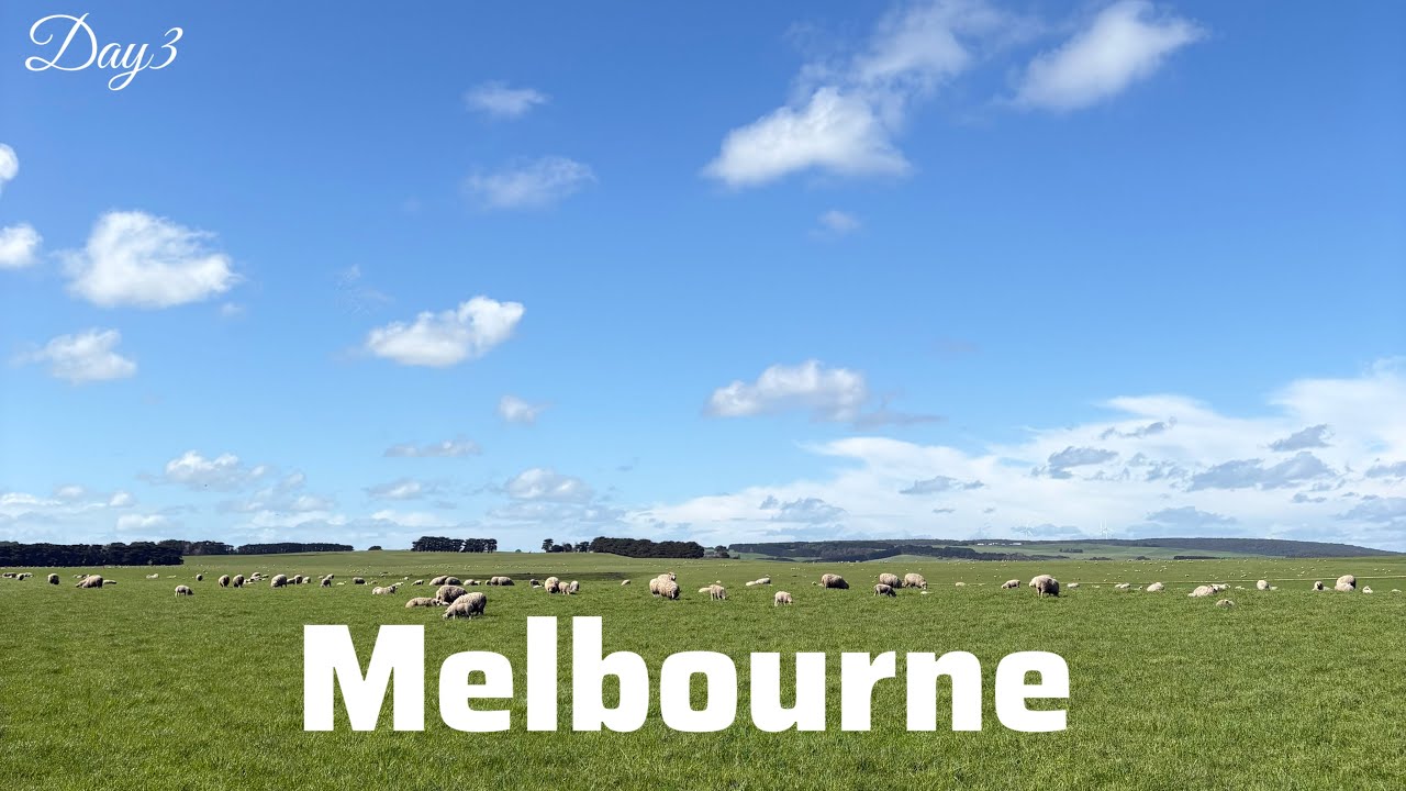 Melbourne Vlog | 世界一美しい海岸線へ。12 Apostles & London Bridge 🇦🇺