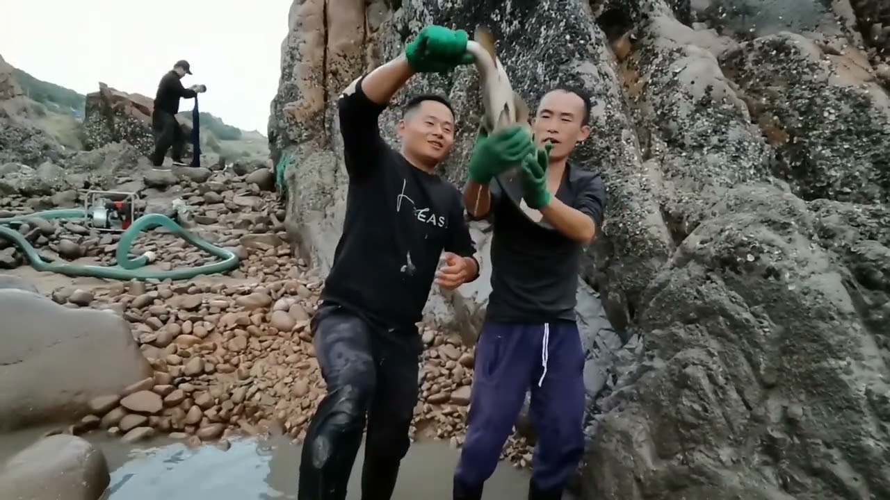【阿向海钓赶海】带海鲜西施抽水坑 第一次发现十几斤的庞然巨物 两大汉合力才制服