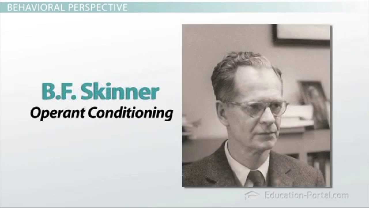 Behavioral, cognitive, Developmental, Social Cognitive and Constructivist Perspectives