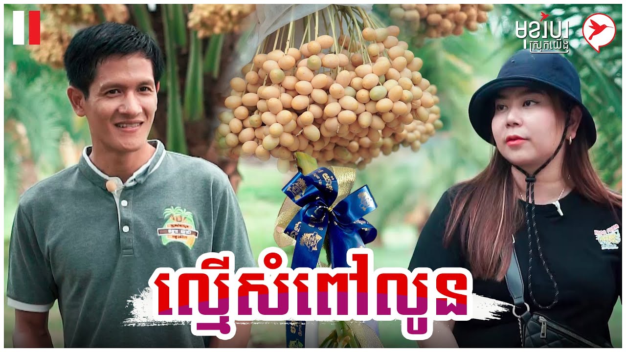 លម្ម៉ើសំពៅលូន | កម្មវិធីមុខរបរស្រុកយើង