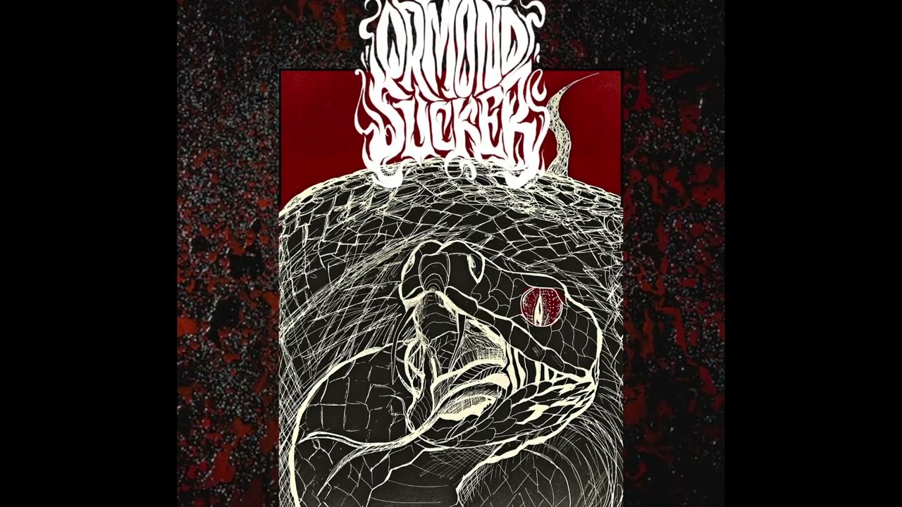 Ormond Sucker - Tsuchinoko