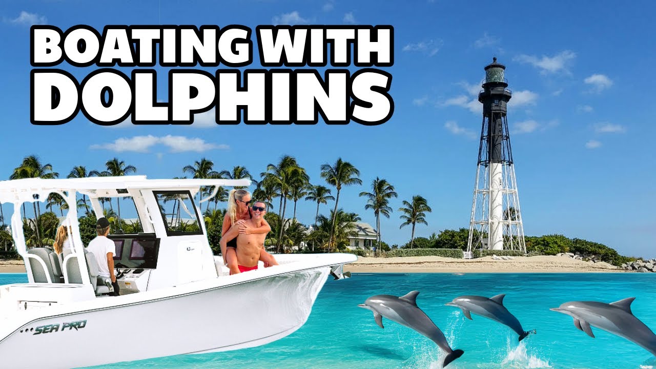 🐬🐬🐬 We Found a POD of Dolphins While Boating in Fort Lauderdale!