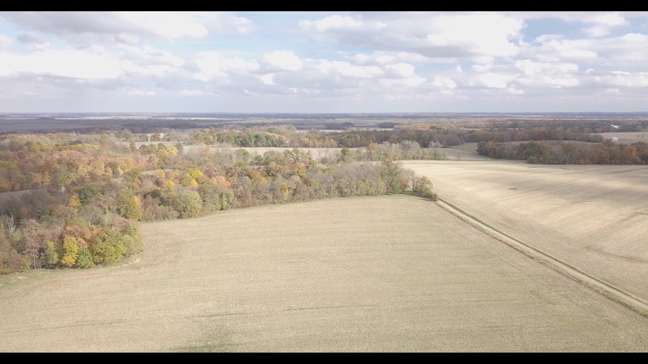Young Estate | 80 Acre Tract | Field 1