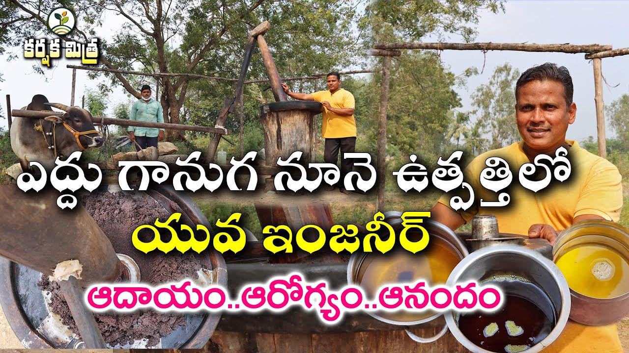 ఎద్దు గానుగ నూనె వ్యాపారంలో యువ ఇంజనీర్ || Bull Driven Oil Business || Karshaka Mitra
