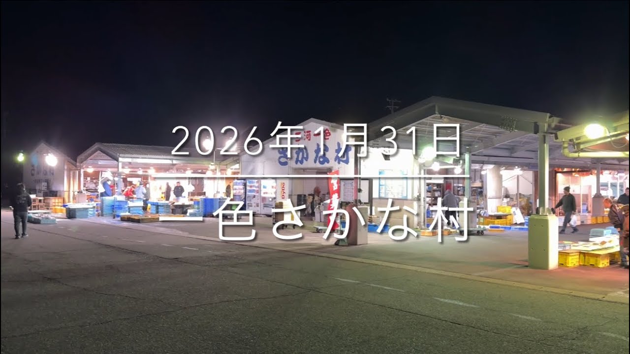 【深夜4時】衝撃的怪魚が到来⁉︎【一同唖然】『一色さかな村』日本最強朝市
