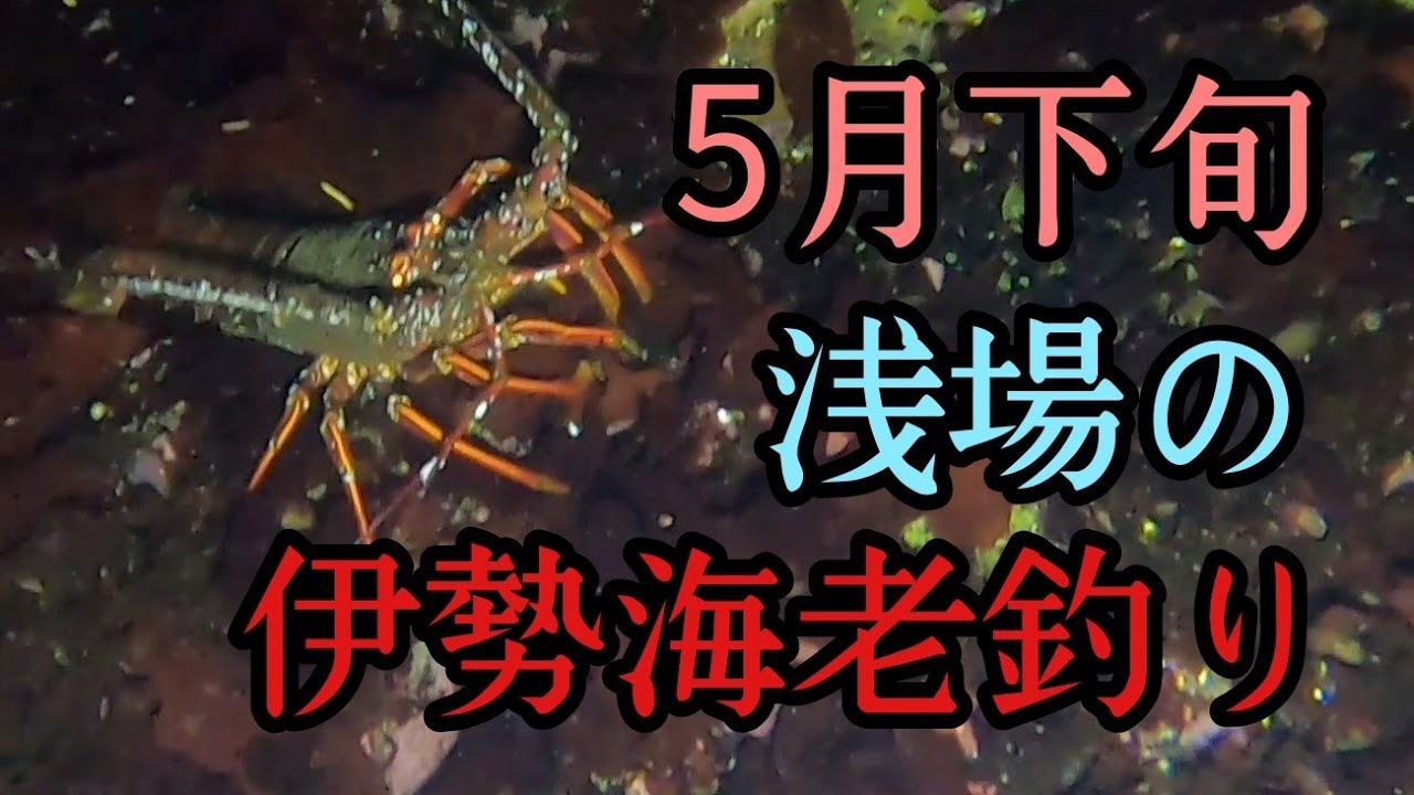 伊勢海老釣り釣行第3回目