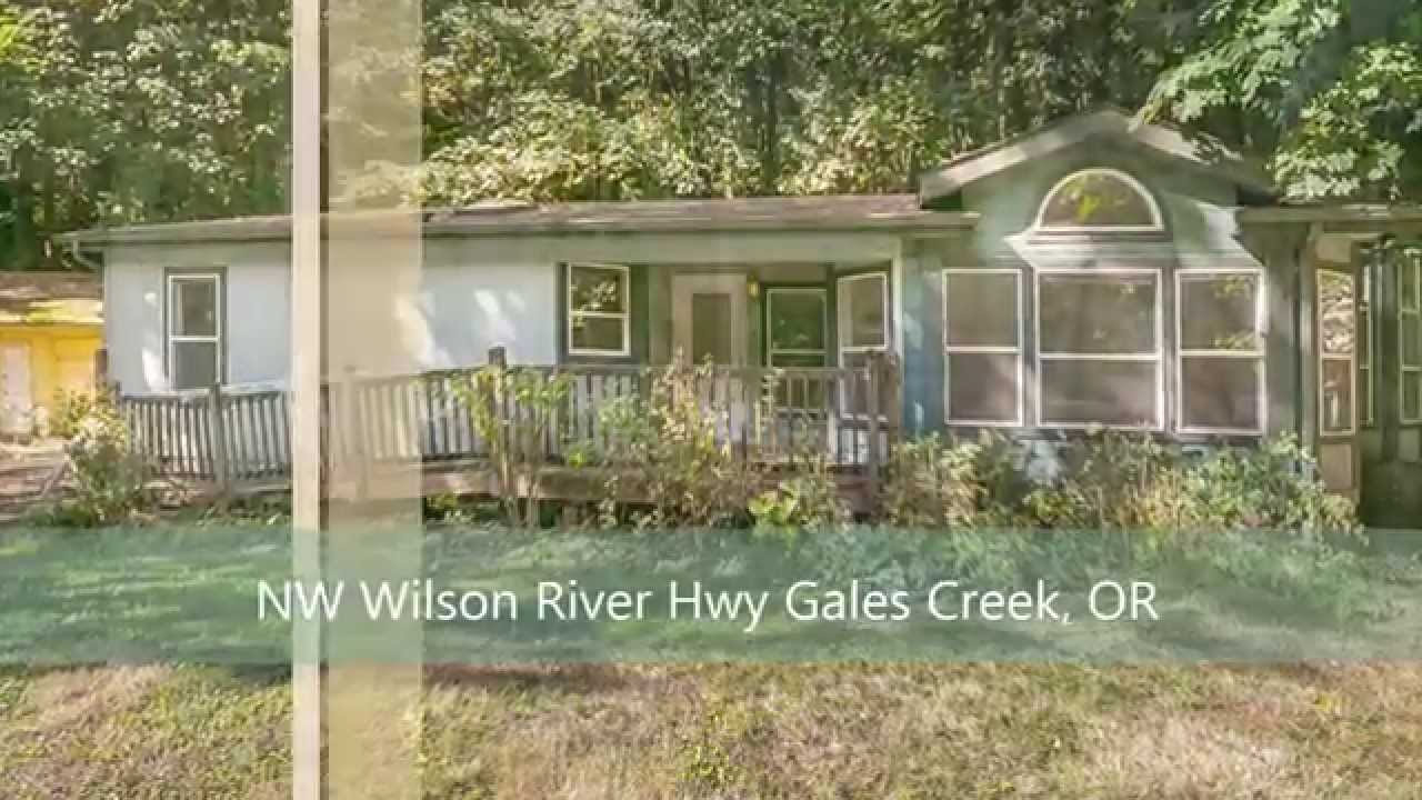 HUD Home - NW Wilson River Hwy, Gales Creek, OR 97117 (Instagram Video for 431-431365)
