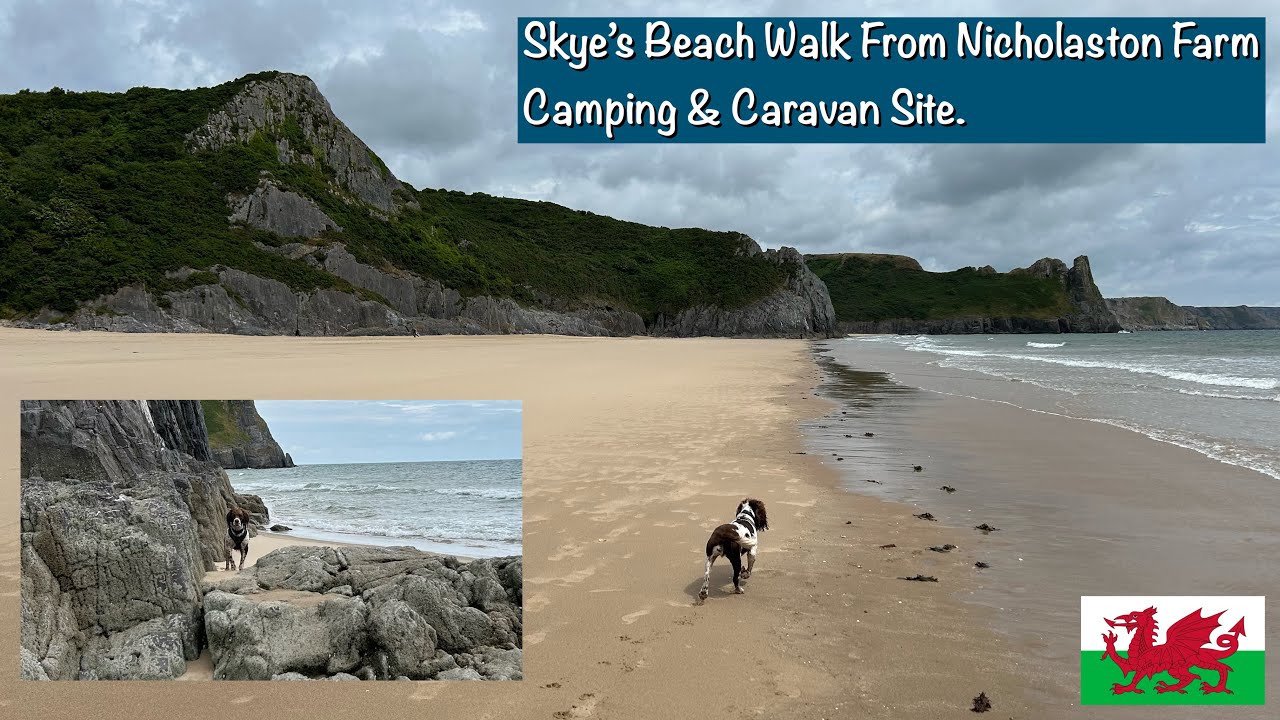 Nicholaston Farm Caravan & Camping 🏴 Stunning Beach Walk With Skye