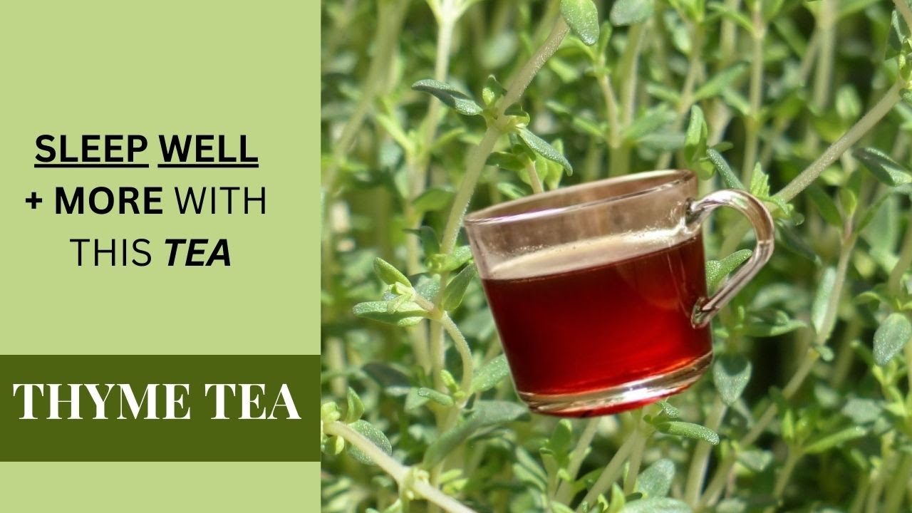 9 HEALTH BENEFITS of THYME TEA / HOW TO MAKE Thyme Tea / SIDE EFFECTS / Earth's Medicine
