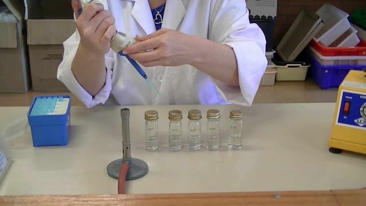 How to create serial dilutions