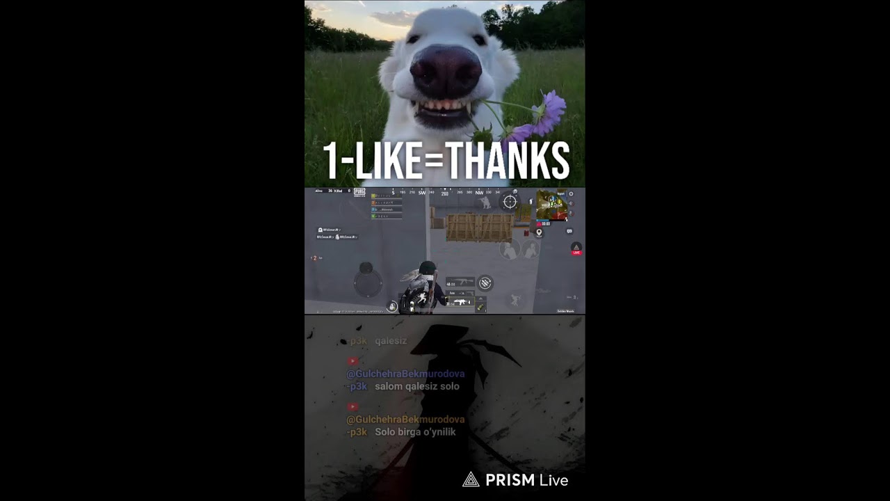 Live streaming of SOLO GAMING