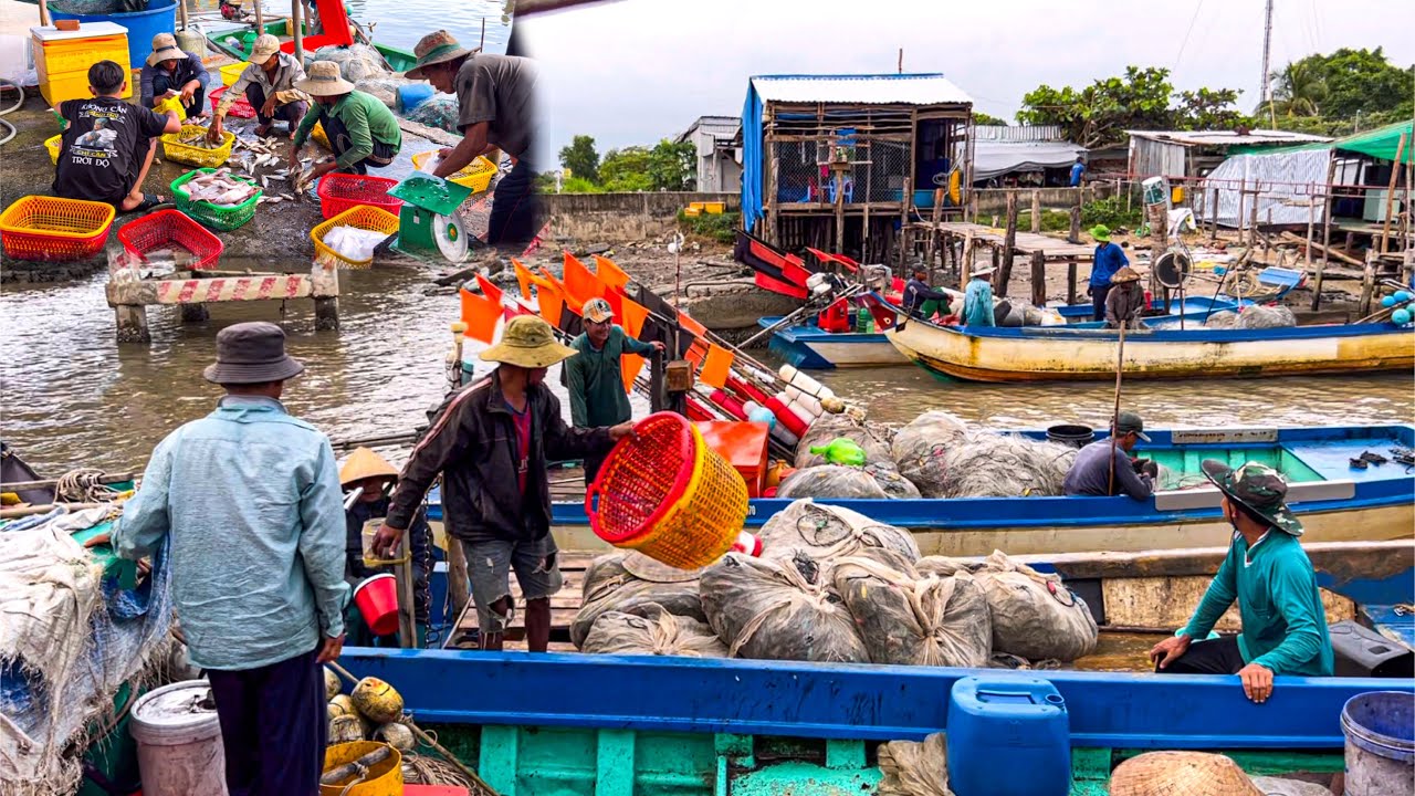 Lưới Cá, Lưới Ghẹ Thắng Lớn Ngày Đầu Năm 2024 | Kẻ Khóc Người Cười Vàm Sào Lưới Cà Mau