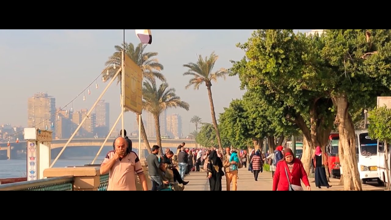 Egypt's cities tackle heat stress and water scarcity