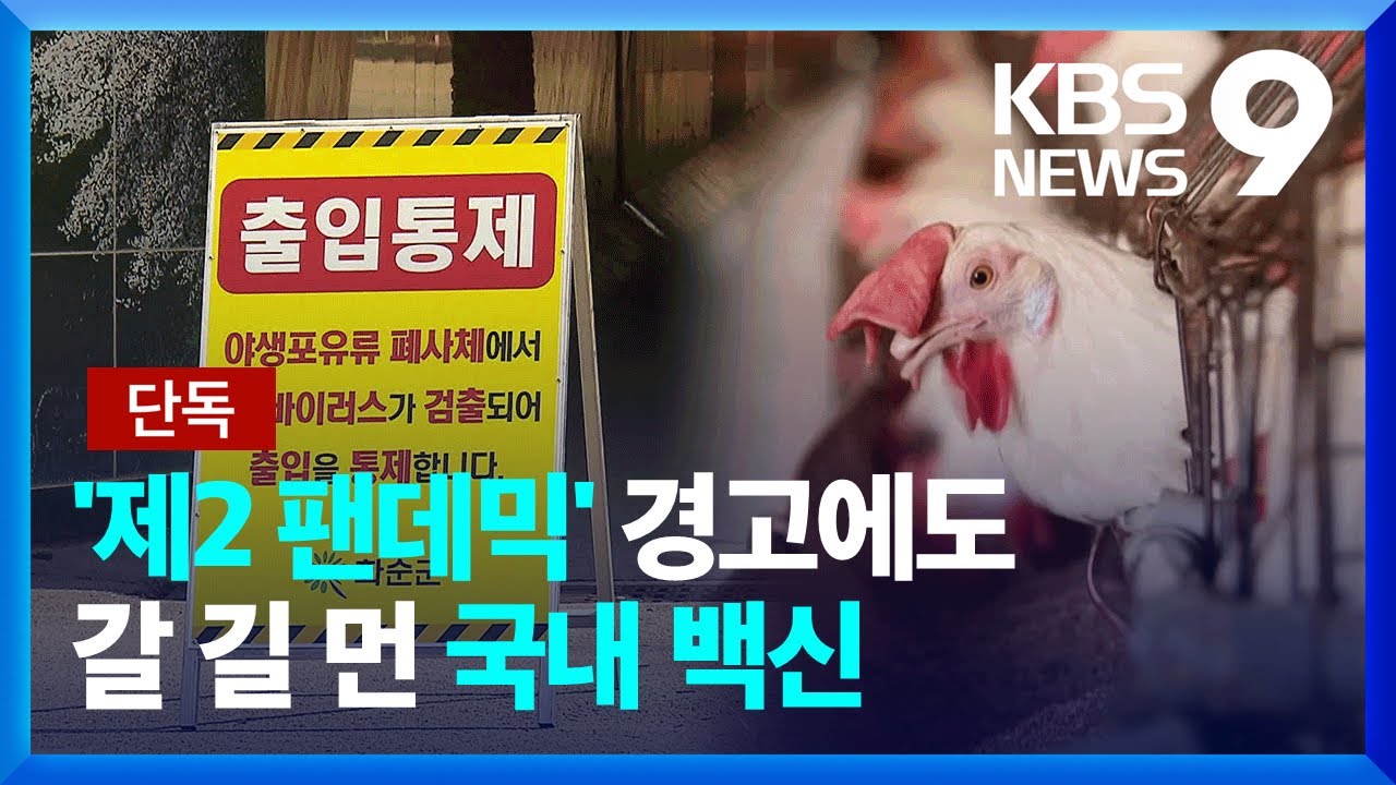 [단독] &ldquo;제2 팬데믹 우려&rdquo;&hellip;조류 인플루엔자, 10년 전 백신으로? [9시 뉴스] / KBS  2025.04.10.