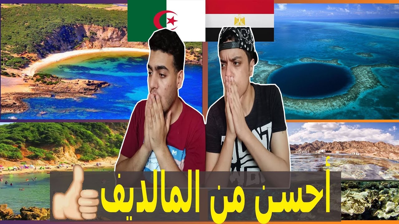 القالة الجزائرية ودهب المصرية | ردة فعل مصريين علي روعة وجمال السواحل والشواطئ والأجواء