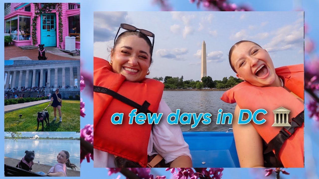 the BEST Washington DC vlog ever